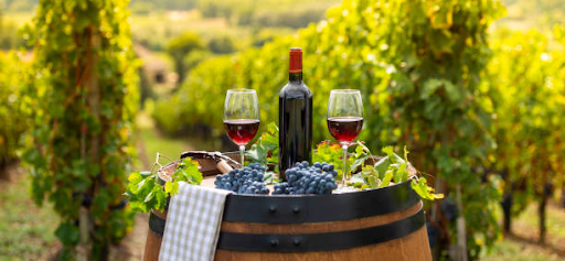 A bottle and two glasses of red wine with grapes on a barrel in a sunlit vineyard.